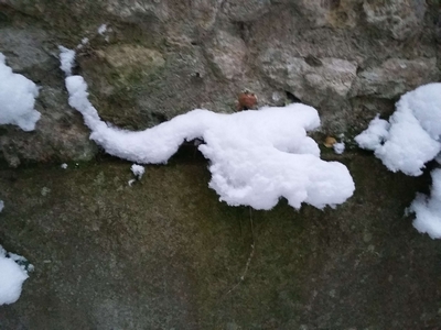 Créature de neige sur le mur 2